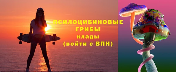 стафф Ладушкин