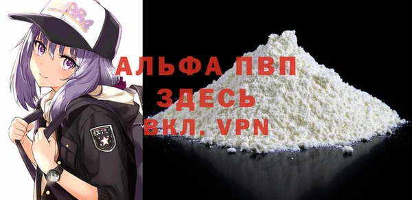 стафф Ладушкин