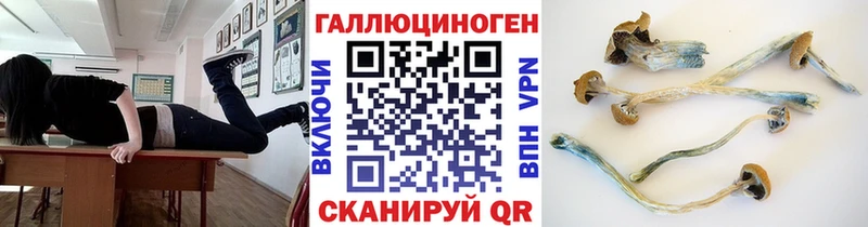дарнет шоп  Починок  Галлюциногенные грибы прущие грибы 